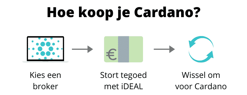 Hoe Cardano kopen infographic